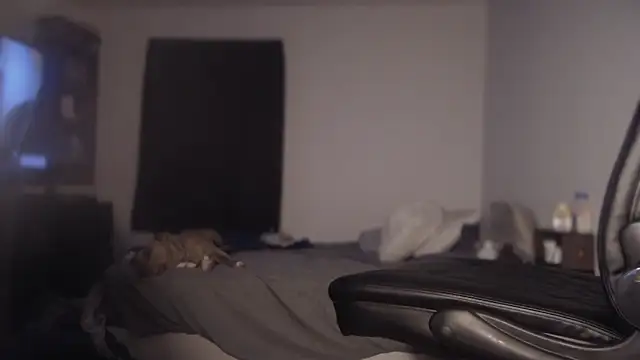 flexingplexico online show from March 2025 11:17:01 AM