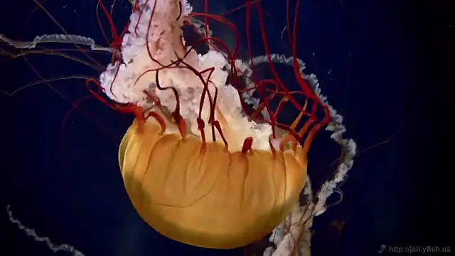 Snapshot of streamy_test13 chatting on February 2025 08:13:02 AM streamy test13 online show from February 2025 08:13:02 AM