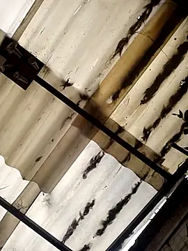 Snapshot of weedmanhot28 chatting on November 2025 12:51:01 PM weedmanhot28 online show from November 2025 12:51:01 PM