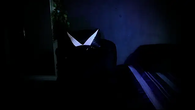 Snapshot of newjeff chatting on October 2025 12:27:01 AM newjeff online show from October 2025 12:27:01 AM