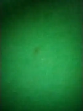 Snapshot of Zane_Natha chatting on November 2025 12:53:01 AM Zane Natha online show from November 2025 12:53:01 AM