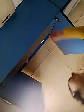 Snapshot of Gussie_Bridie chatting on October 2025 04:53:01 AM Gussie Bridie online show from October 2025 04:53:01 AM