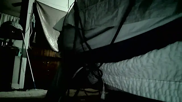 paiday online show from December 2024 12:59:02 PM