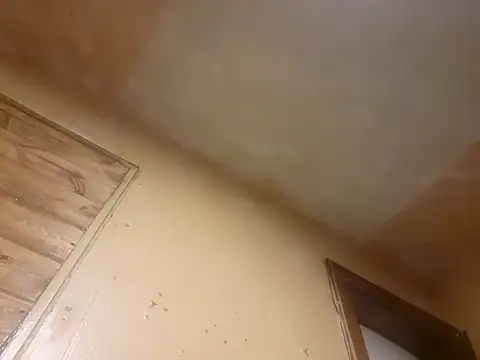 Snapshot of BigDDave6979 chatting on March 2025 05:48:02 AM BigDDave6979 online show from March 2025 05:48:02 AM