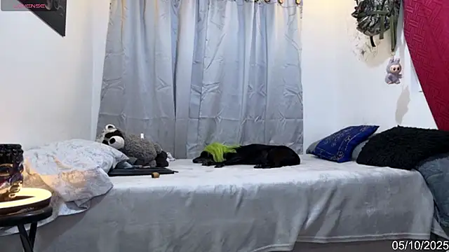 Snapshot of alejo_cute chatting on October 2025 08:28:01 PM alejo cute online show from October 2025 08:28:01 PM