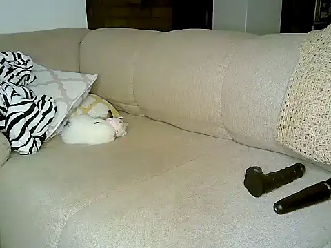 Snapshot of ebony_spicy69 chatting on October 2025 12:13:02 PM ebony spicy69 online show from October 2025 12:13:02 PM