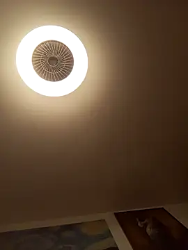 Snapshot of kgmrossetti4 chatting on November 2025 04:07:02 PM kgmrossetti4 online show from November 2025 04:07:02 PM