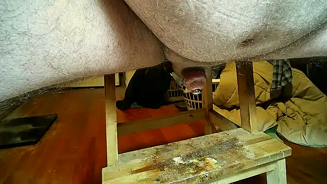 CBT FUN TIME online show from February 2025 07:10:01 PM