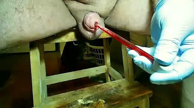 CBT FUN TIME online show from March 2025 07:34:02 PM