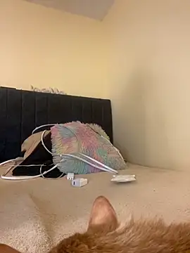 liaqueen610 online show from November 2025 11:14:02 PM