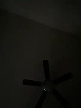 Snapshot of goldbuni chatting on December 2024 01:36:02 PM goldbuni online show from December 2024 01:36:02 PM