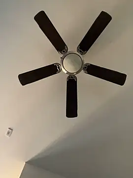 Snapshot of goldbuni chatting on December 2024 11:03:02 PM goldbuni online show from December 2024 11:03:02 PM