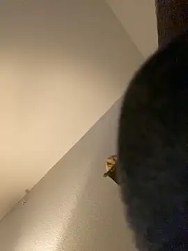 Snapshot of goldbuni chatting on December 2024 01:25:01 PM goldbuni online show from December 2024 01:25:01 PM