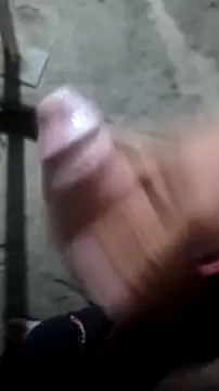 mendelicius online show from November 2025 03:38:01 AM