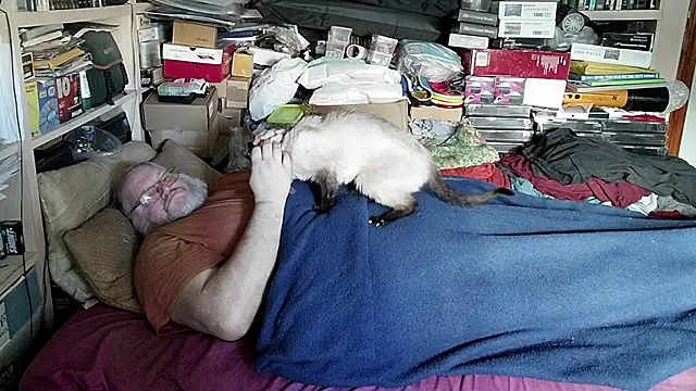 hadeszeuss2 online show from December 2024 02:33:01 PM