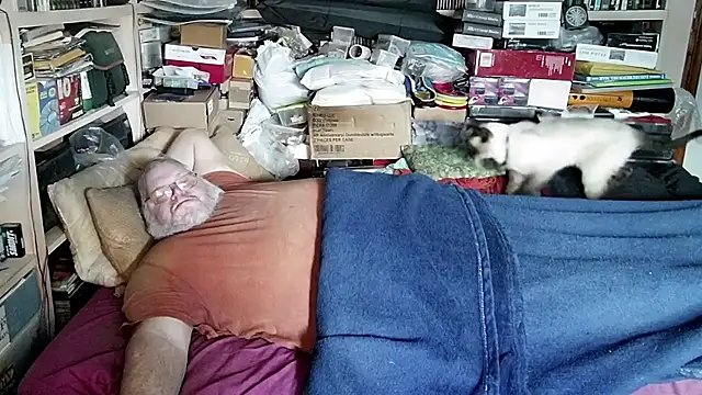 hadeszeuss2 online show from December 2024 01:22:02 PM