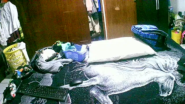 jperezofficial1 online show from September 2025 09:42:02 AM