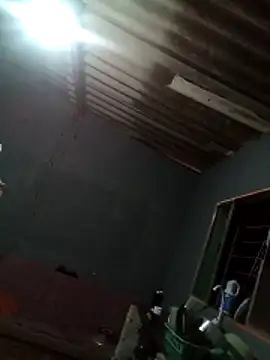 Japohzl2 online show from November 2025 07:19:01 AM