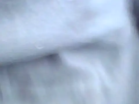 Bootiq online show from October 2025 09:53:02 AM