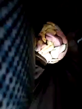 Snapshot of Policeman20742 chatting on February 2025 06:09:02 PM Policeman20742 online show from February 2025 06:09:02 PM