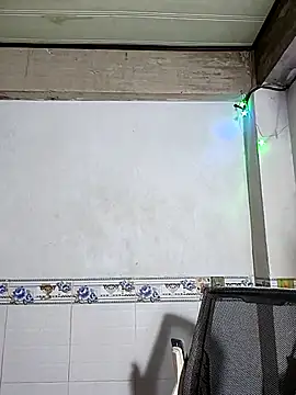 Snapshot of phnz chatting on November 2025 12:38:02 PM phnz online show from November 2025 12:38:02 PM