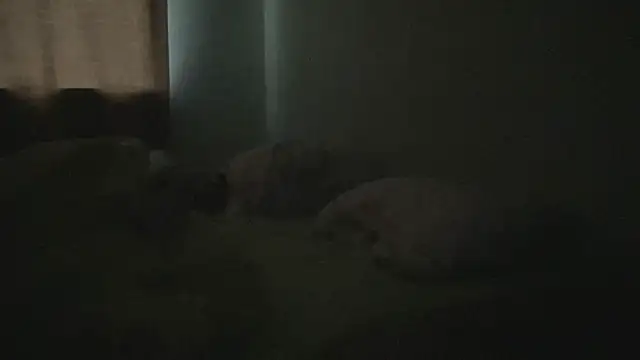 Diamond Tyler online show from February 2025 04:57:01 AM
