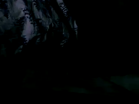 Snapshot of WHITEDAROSE chatting on February 2025 10:01:02 AM WHITEDAROSE online show from February 2025 10:01:02 AM