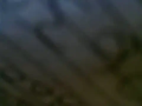 Snapshot of WHITEDAROSE chatting on March 2025 07:17:01 PM WHITEDAROSE online show from March 2025 07:17:01 PM