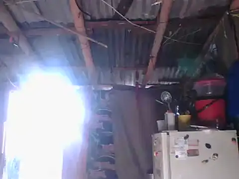 Alanagracia online show from January 2025 12:56:01 PM