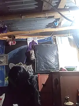 Snapshot of Alanagracia chatting on October 2025 02:16:02 PM Alanagracia online show from October 2025 02:16:02 PM