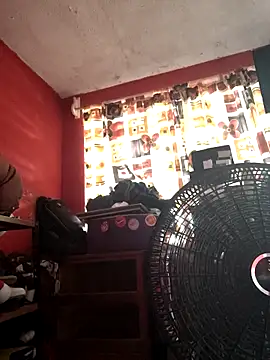 Snapshot of VL25DN26 chatting on November 2025 04:51:02 PM VL25DN26 online show from November 2025 04:51:02 PM