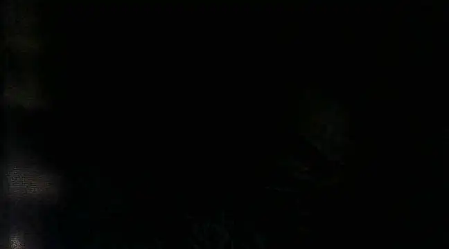 RenziTatte online show from March 2025 02:16:01 AM