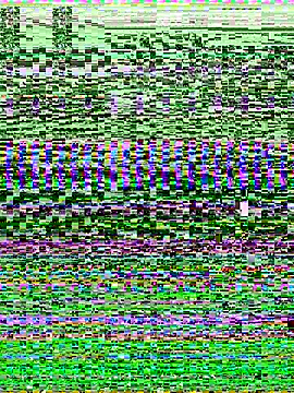 Snapshot of -SHINON- chatting on November 2025 11:52:02 AM -SHINON- online show from November 2025 11:52:02 AM