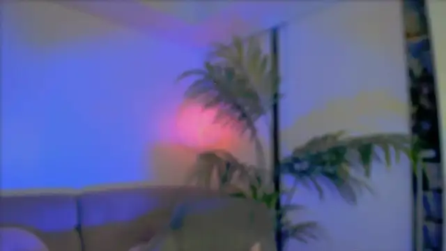 Snapshot of _cherry_bloss_ chatting on October 2025 02:20:02 AM cherry bloss online show from October 2025 02:20:02 AM