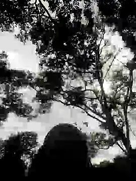 andreu mature online show from February 2025 03:12:02 PM