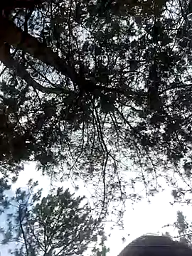 Sofia xx2 online show from February 2025 08:50:02 AM