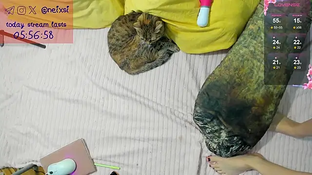 Snapshot of ixsi chatting on October 2025 07:40:01 AM ixsi online show from October 2025 07:40:01 AM