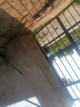 rjxraj online show from October 2025 04:34:02 AM