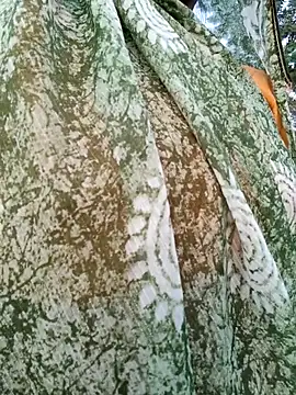 Cute Suhani online show from November 2025 01:27:01 AM