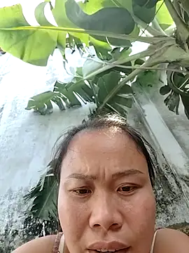 Hotpussy3ox online show from November 2025 05:20:01 AM