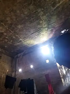 alex4020 online show from November 2025 04:13:02 AM