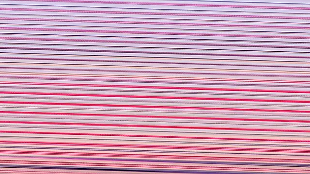 Annieefoxx online show from November 2025 02:50:01 PM