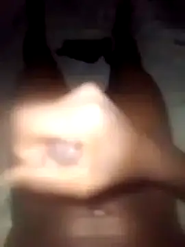 Snapshot of DigCrok chatting on March 2025 01:47:02 AM DigCrok online show from March 2025 01:47:02 AM