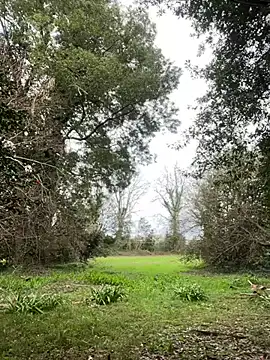 Snapshot of Alicia_Hot1 chatting on February 2025 02:05:02 PM Alicia Hot1 online show from February 2025 02:05:02 PM