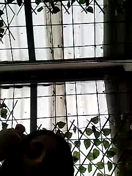 ailyn miranda online show from March 2025 06:21:02 PM