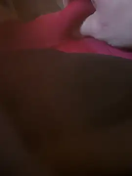 Snapshot of Fjome chatting on November 2025 08:00:02 AM Fjome online show from November 2025 08:00:02 AM