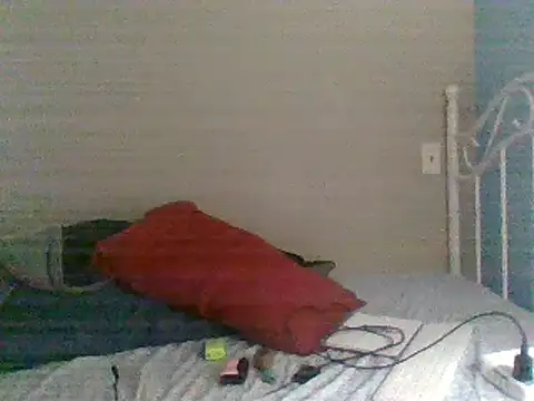 Snapshot of SmokingSloth chatting on February 2025 03:01:02 PM SmokingSloth online show from February 2025 03:01:02 PM