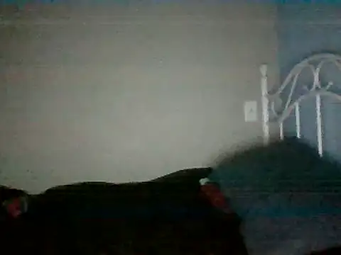 Snapshot of SmokingSloth chatting on March 2025 05:14:01 AM SmokingSloth online show from March 2025 05:14:01 AM