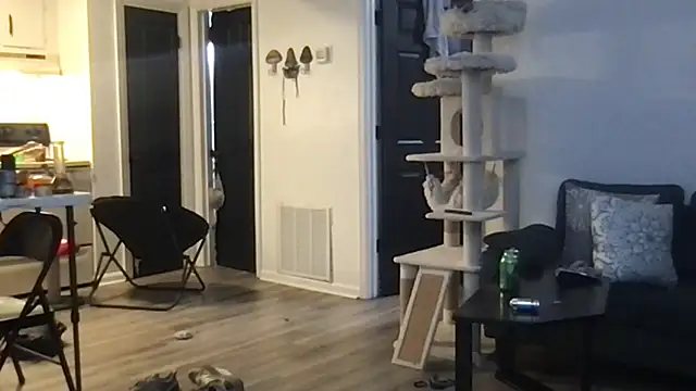 SpunCandy online show from October 2025 04:29:01 AM