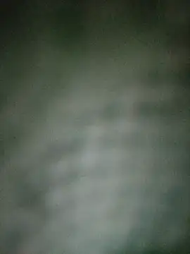 fabio-2323zorro online show from February 2025 07:30:02 PM